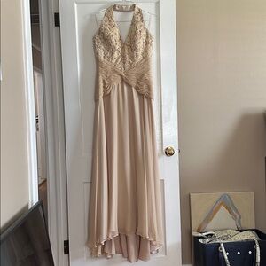 Jovani Beige Lace Bodice Backless Evening Gown